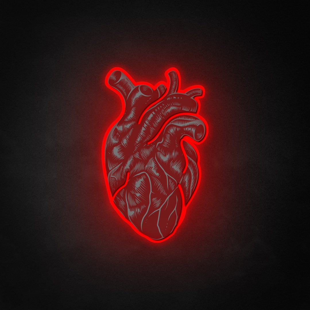 "Vintage Anatomical Heart" Neon Like Sign