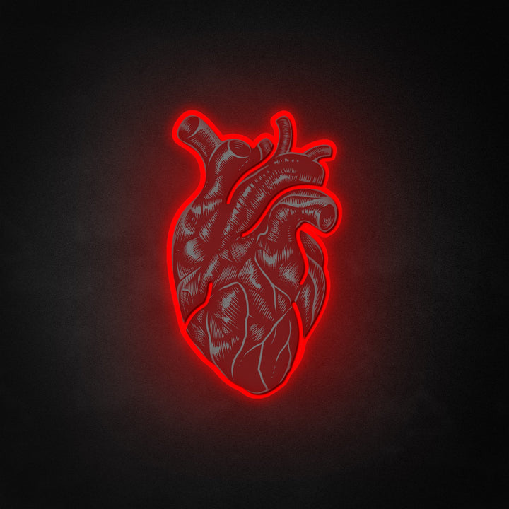 "Vintage Anatomical Heart" Neon Like Sign