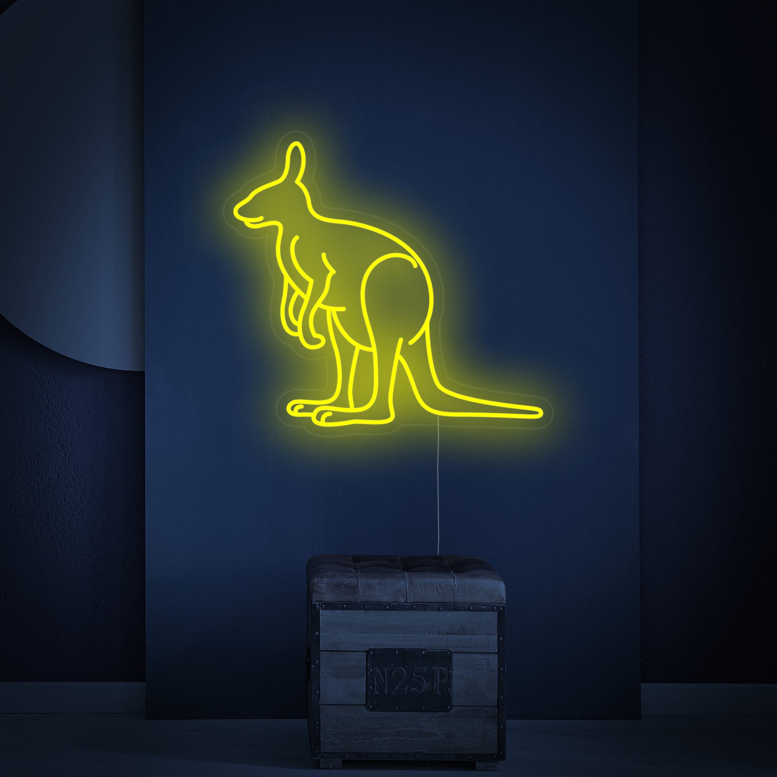 Close-up shot of the Australia Kangaroo neon sign, showing its detailed tubing