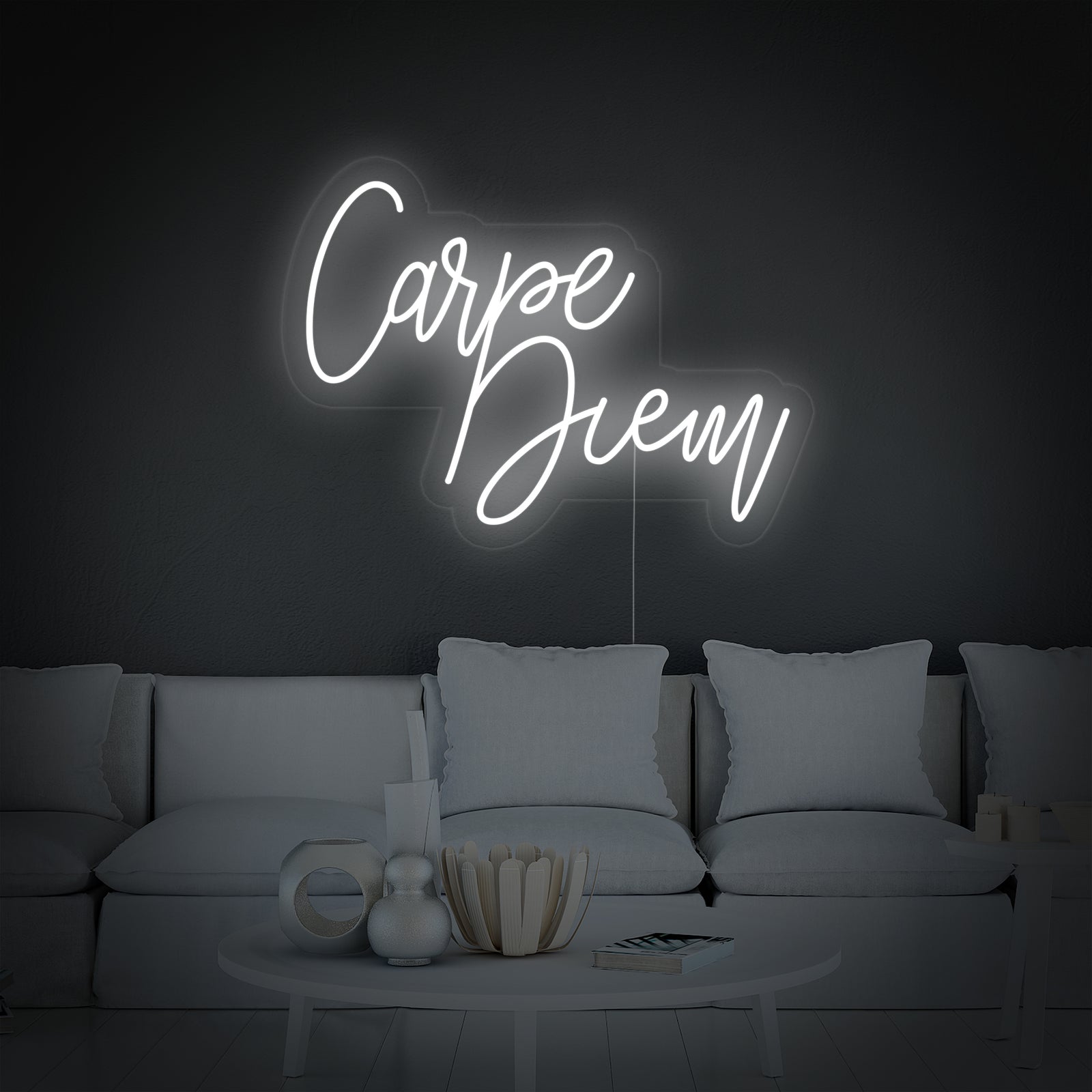 Close-up photograph of a bright white neon sign featuring the words 'Carpe Diem' in a stylized font, mounted on a clear acrylic backplate with visible power cord details.