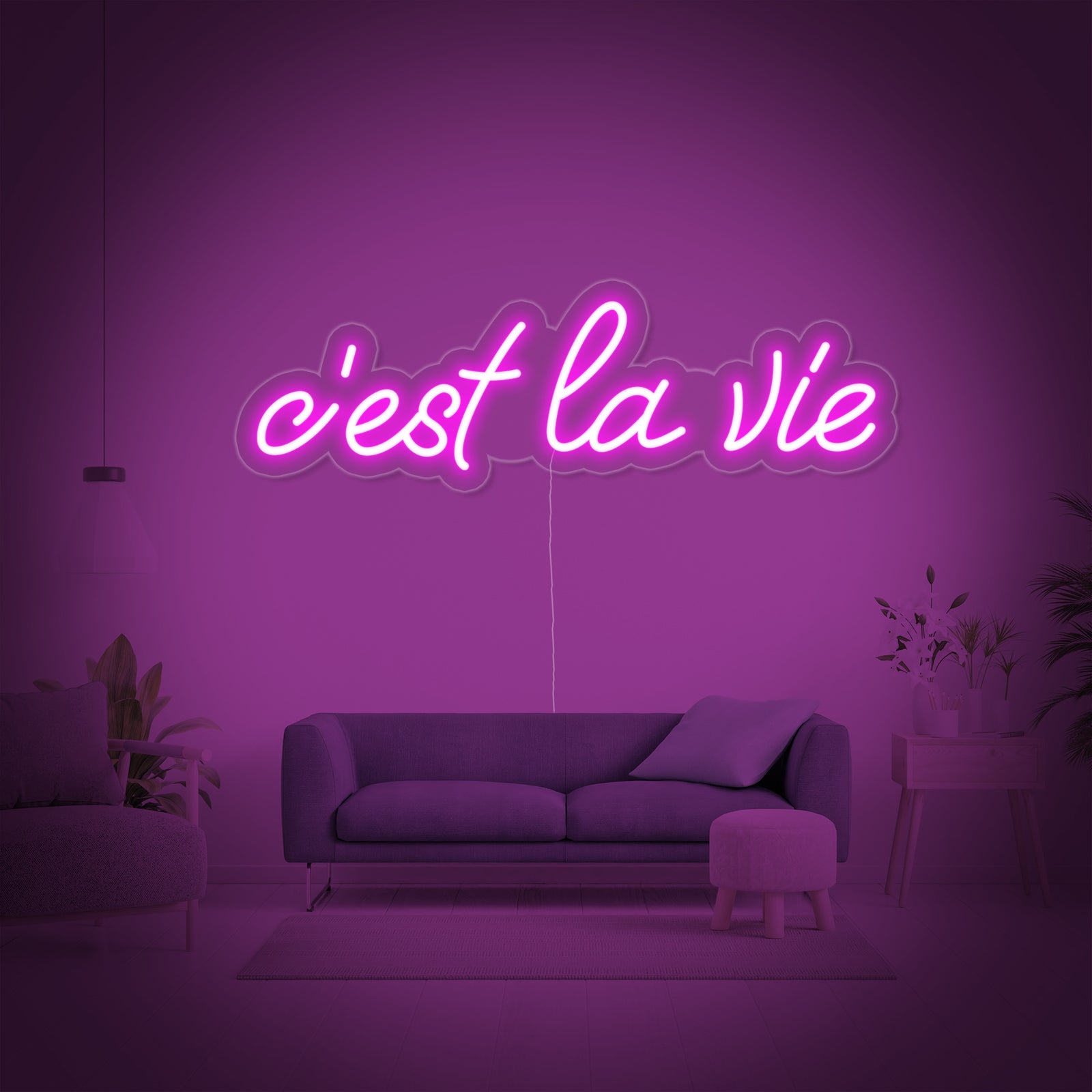 'C'est la vie' neon sign in script font against a plain background, showing the clear acrylic backing.