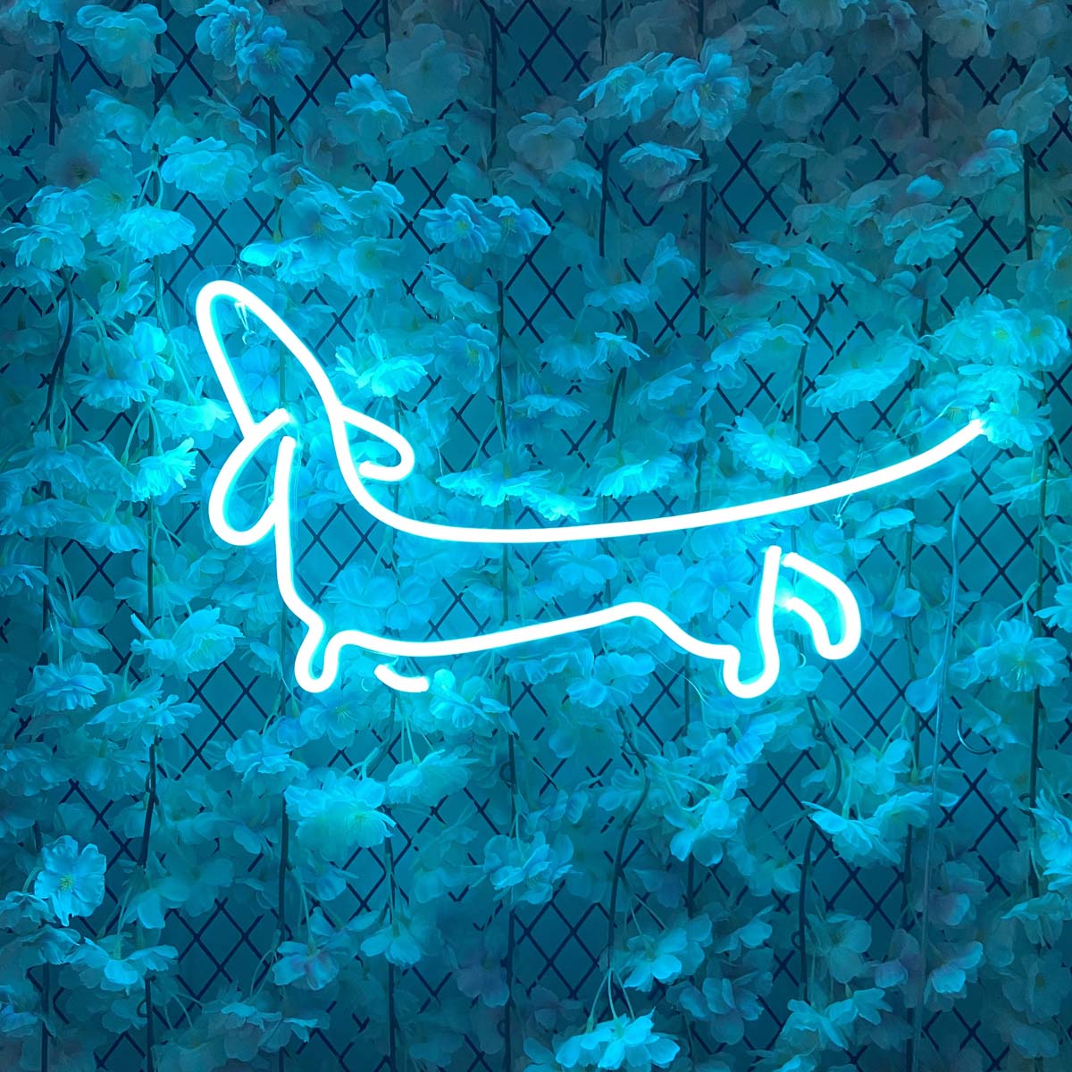 A cozy living room setting with a glowing blue Dachshund neon sign mounted on a white brick wall above a potted plant and a stack of books.