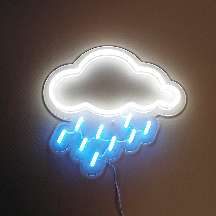 Close-up photograph of the physical 'Element Symbol Cloud Rain' neon sign showing the tubing and wiring