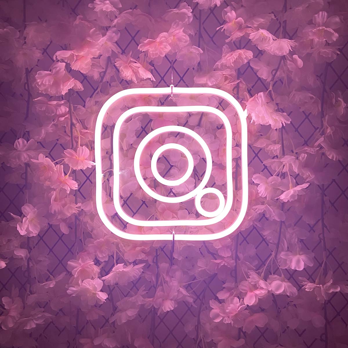 INS LOGO neon sign displayed against an artistic floral background