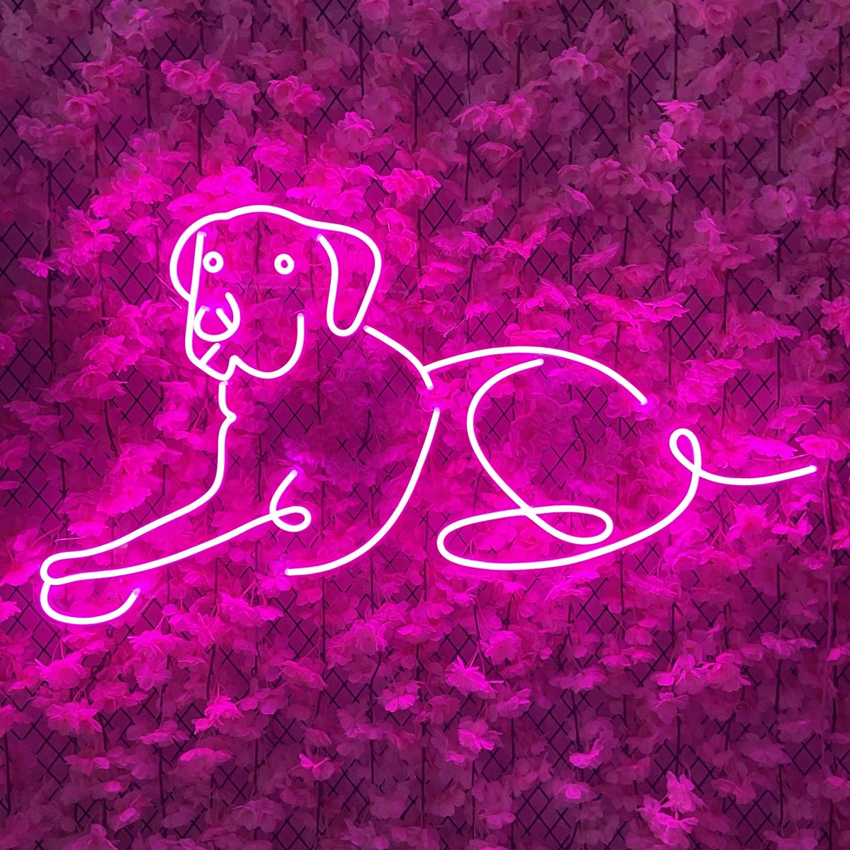 A Labrador Retriever dog neon sign glowing in a modern living room setting.