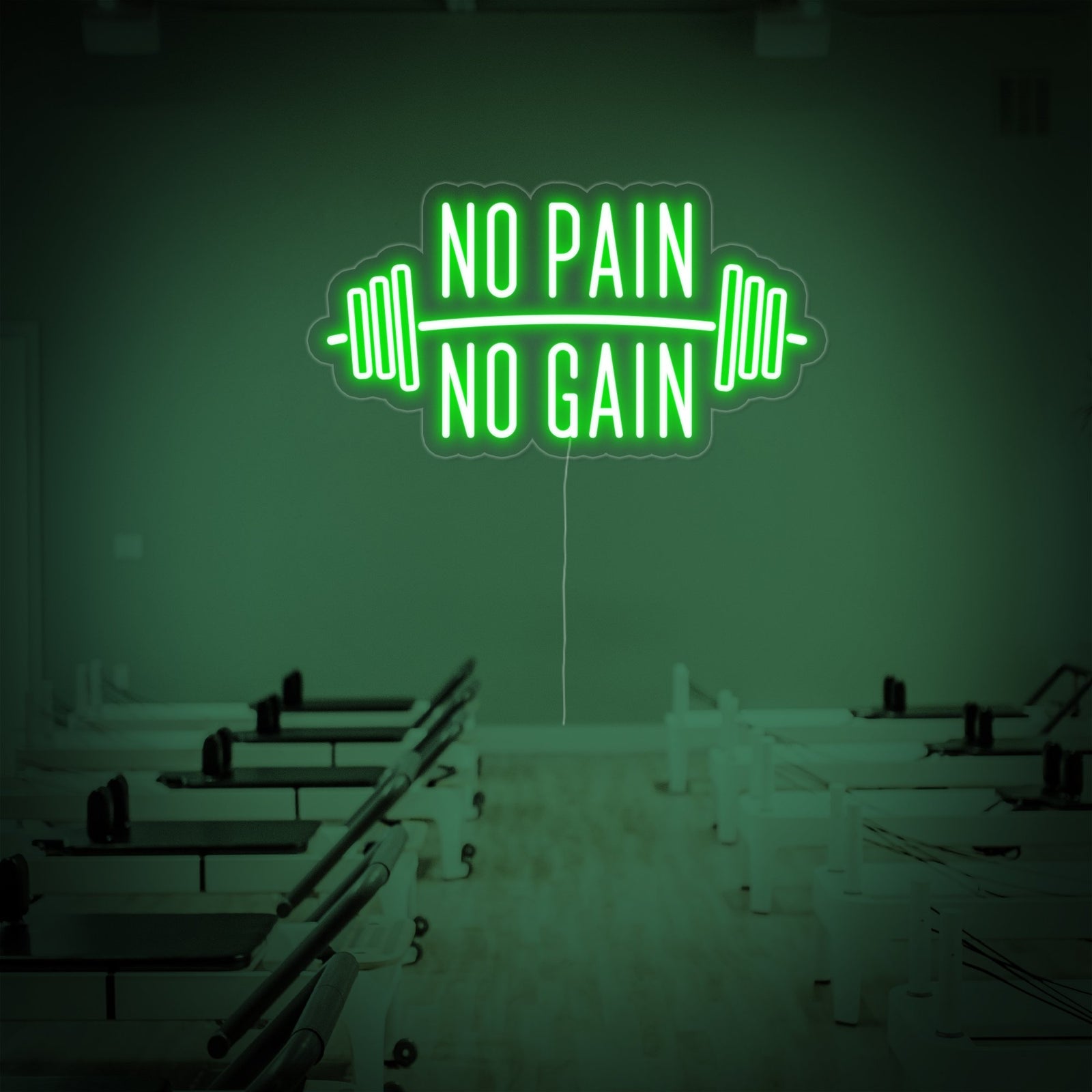 The vibrant 'No Pain No Gain' neon sign mounted prominently on a brick wall in a fully equipped home weight room, providing a motivational glow.