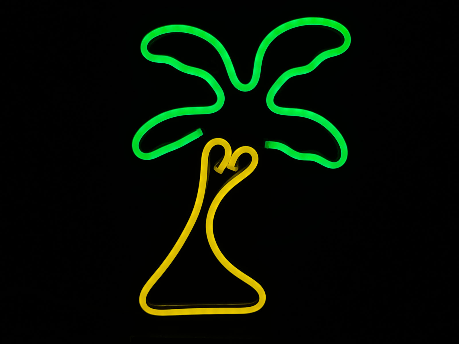 The glowing Palm Tree neon sign structure against a deep black background.