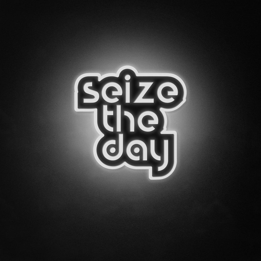 "Seize The Day" Neon Like Sign