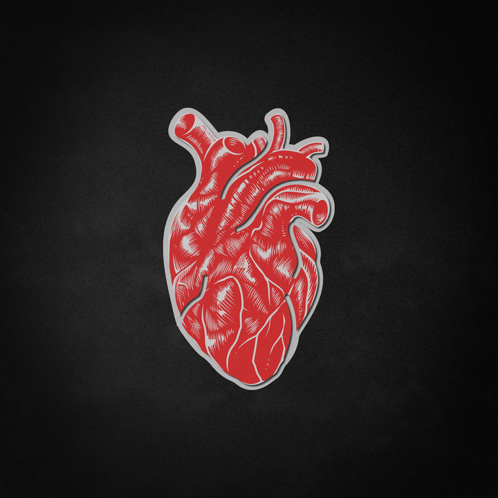 "Vintage Anatomical Heart" Neon Like Sign